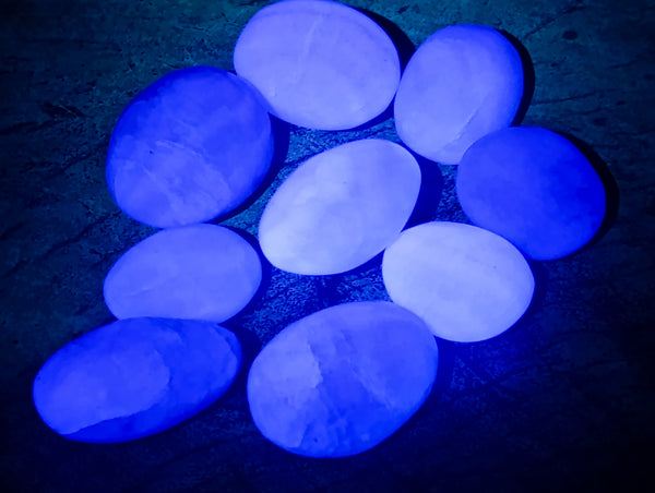 Polished Green Fluorite Palm Stones x 35 From Madagascar