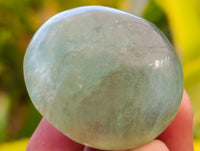 Polished Green Fluorite Palm Stones x 35 From Madagascar