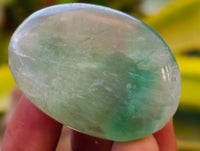 Polished Green Fluorite Palm Stones x 35 From Madagascar