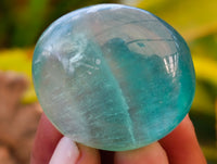 Polished Green Fluorite Palm Stones x 35 From Madagascar