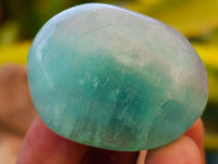 Polished Green Fluorite Palm Stones x 35 From Madagascar