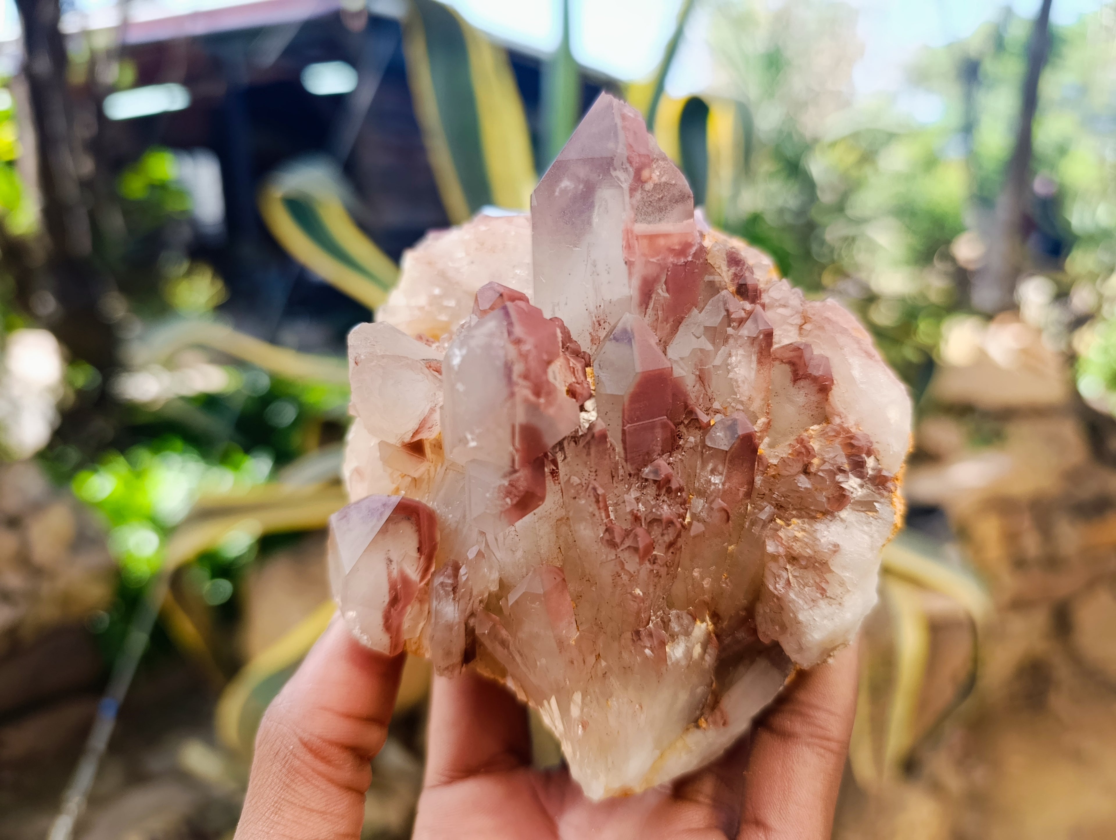 Natural Red Hematoid Quartz Clusters x 3 From Karoi, Zimbabwe - Toprock Gemstones and Minerals 