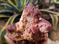 Natural Red Hematoid Quartz Clusters x 3 From Karoi, Zimbabwe