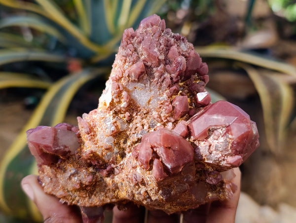 Natural Red Hematoid Quartz Clusters x 3 From Karoi, Zimbabwe