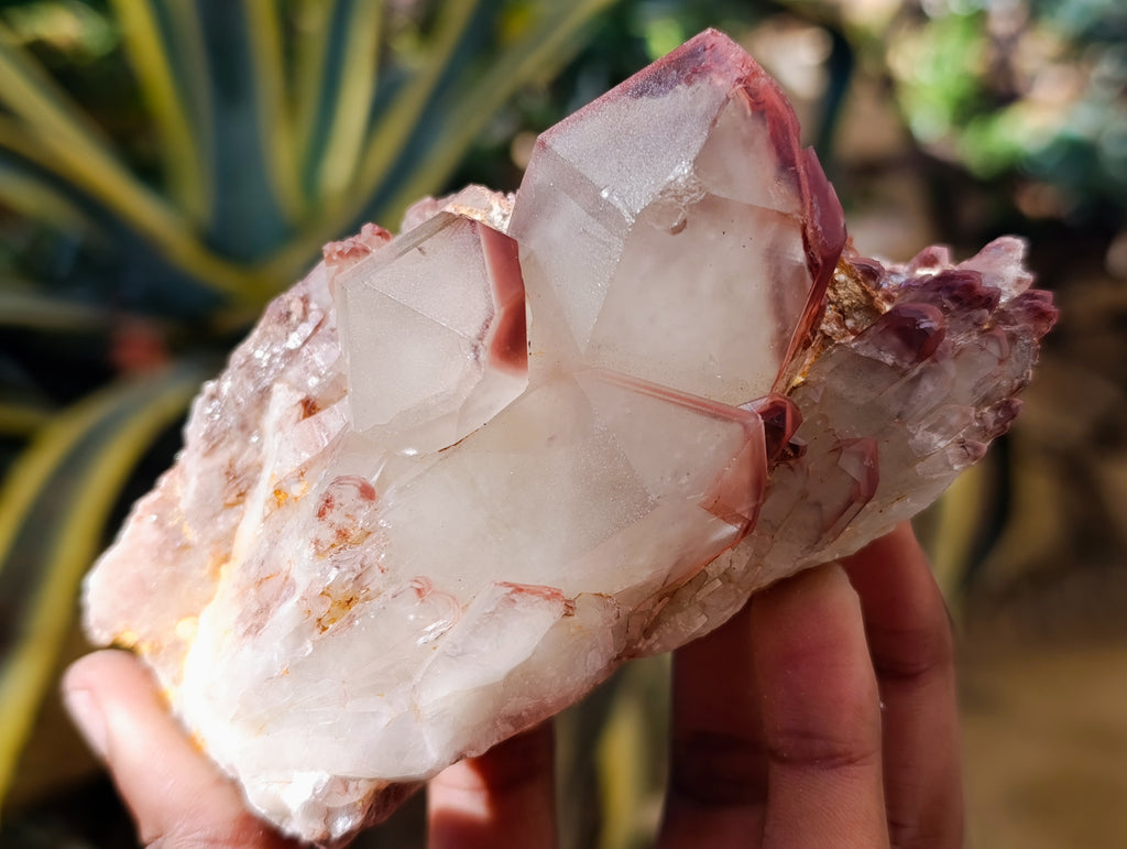 Natural Red Hematoid Quartz Clusters x 3 From Karoi, Zimbabwe - Toprock Gemstones and Minerals 