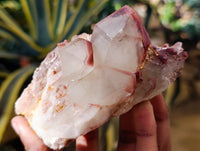 Natural Red Hematoid Quartz Clusters x 3 From Karoi, Zimbabwe