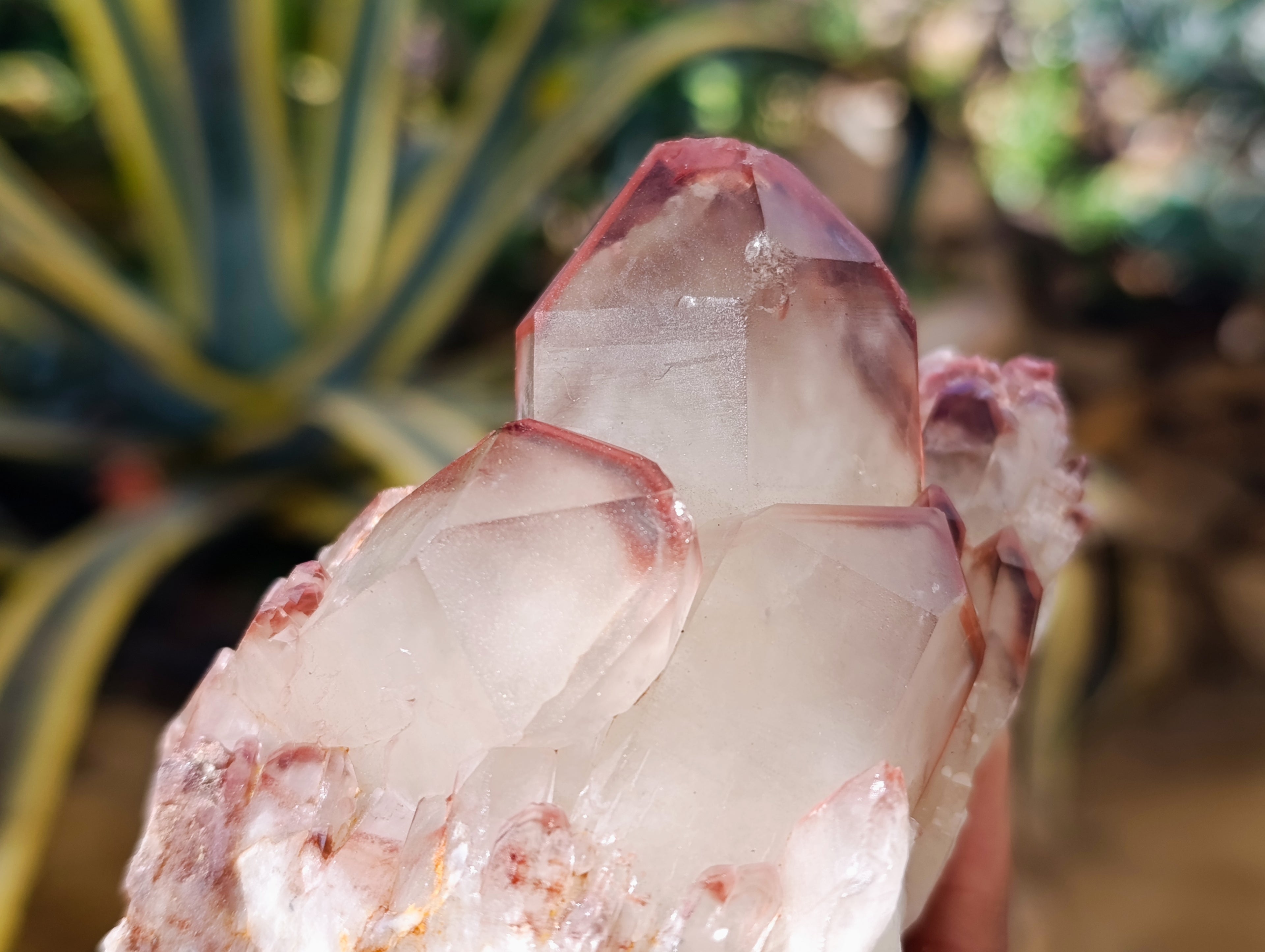 Natural Red Hematoid Quartz Clusters x 3 From Karoi, Zimbabwe - Toprock Gemstones and Minerals 