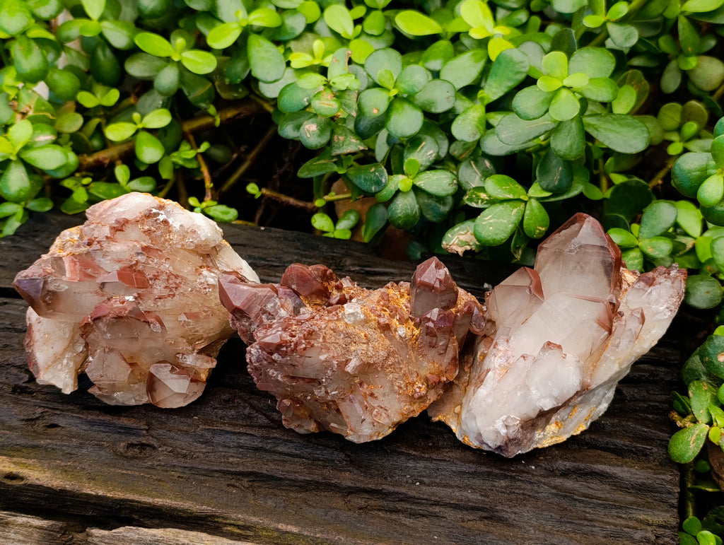 Natural Red Hematoid Quartz Clusters x 3 From Karoi, Zimbabwe - Toprock Gemstones and Minerals 