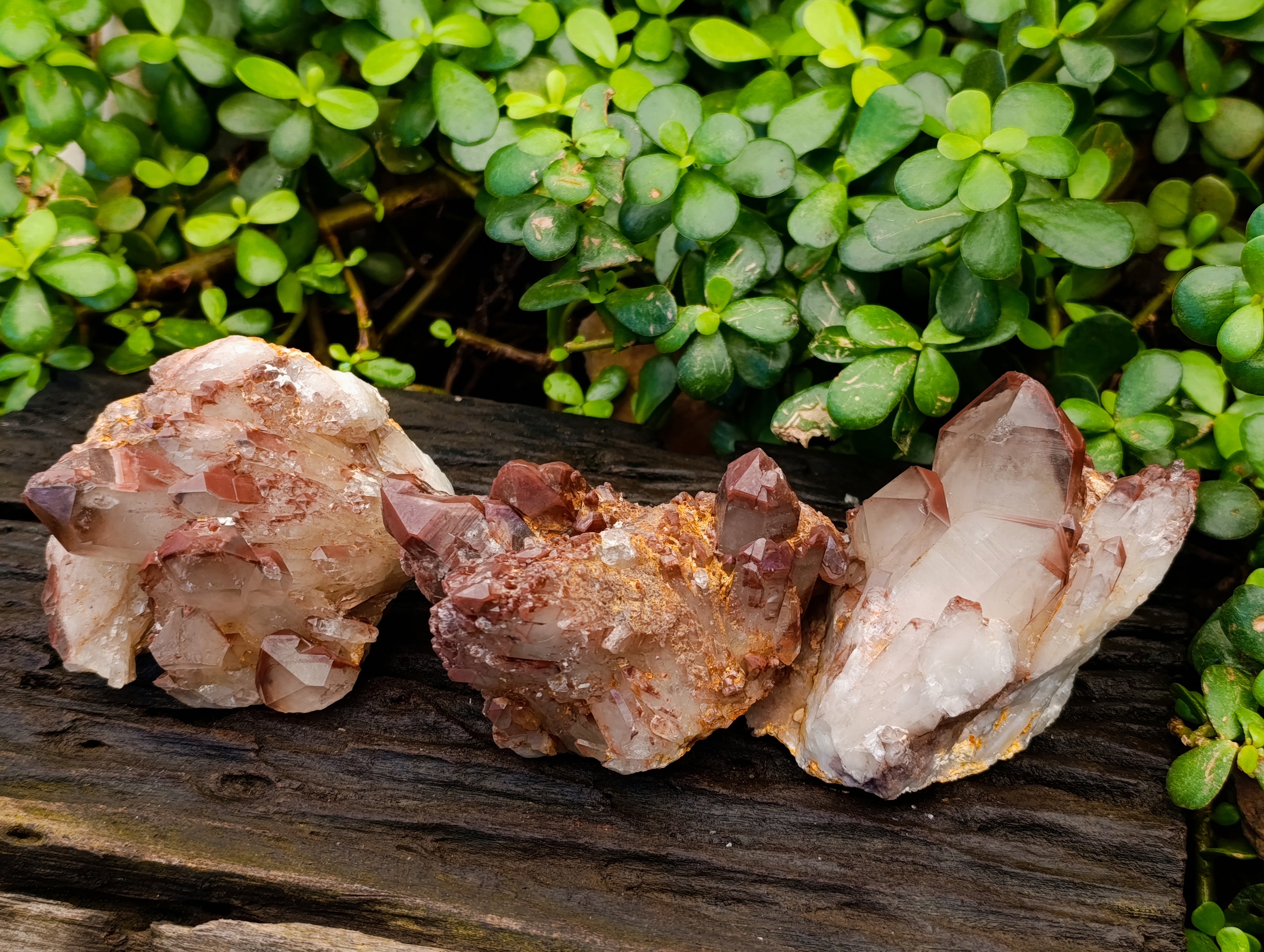 Natural Red Hematoid Quartz Clusters x 3 From Karoi, Zimbabwe - Toprock Gemstones and Minerals 