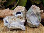 Natural Blue Lace Agate Geodes x 5 From Nsanje, Malawi - Toprock Gemstones and Minerals 