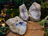 Natural Blue Lace Agate Geodes x 5 From Nsanje, Malawi