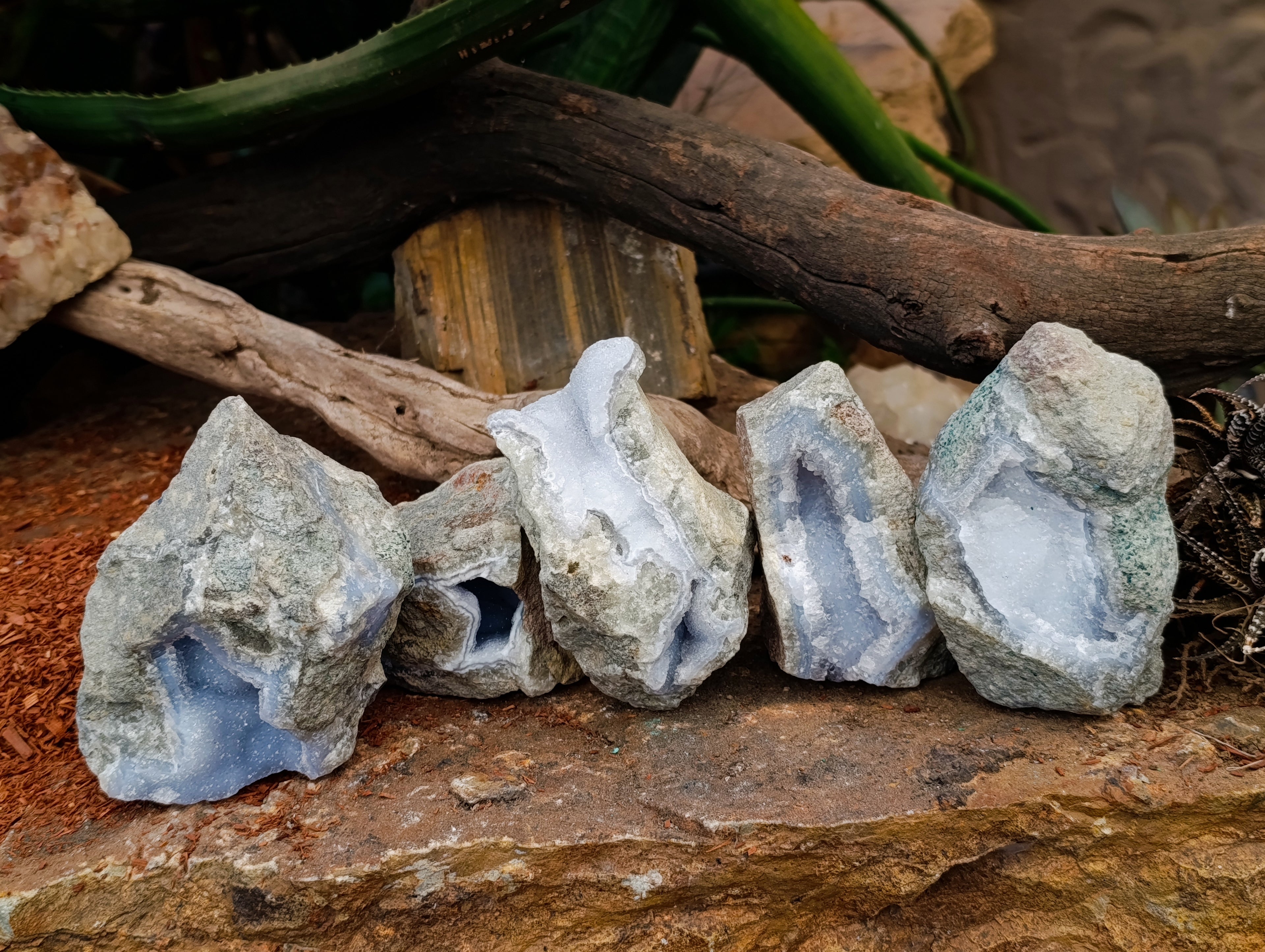 Natural Blue Lace Agate Geodes x 5 From Nsanje, Malawi - Toprock Gemstones and Minerals 