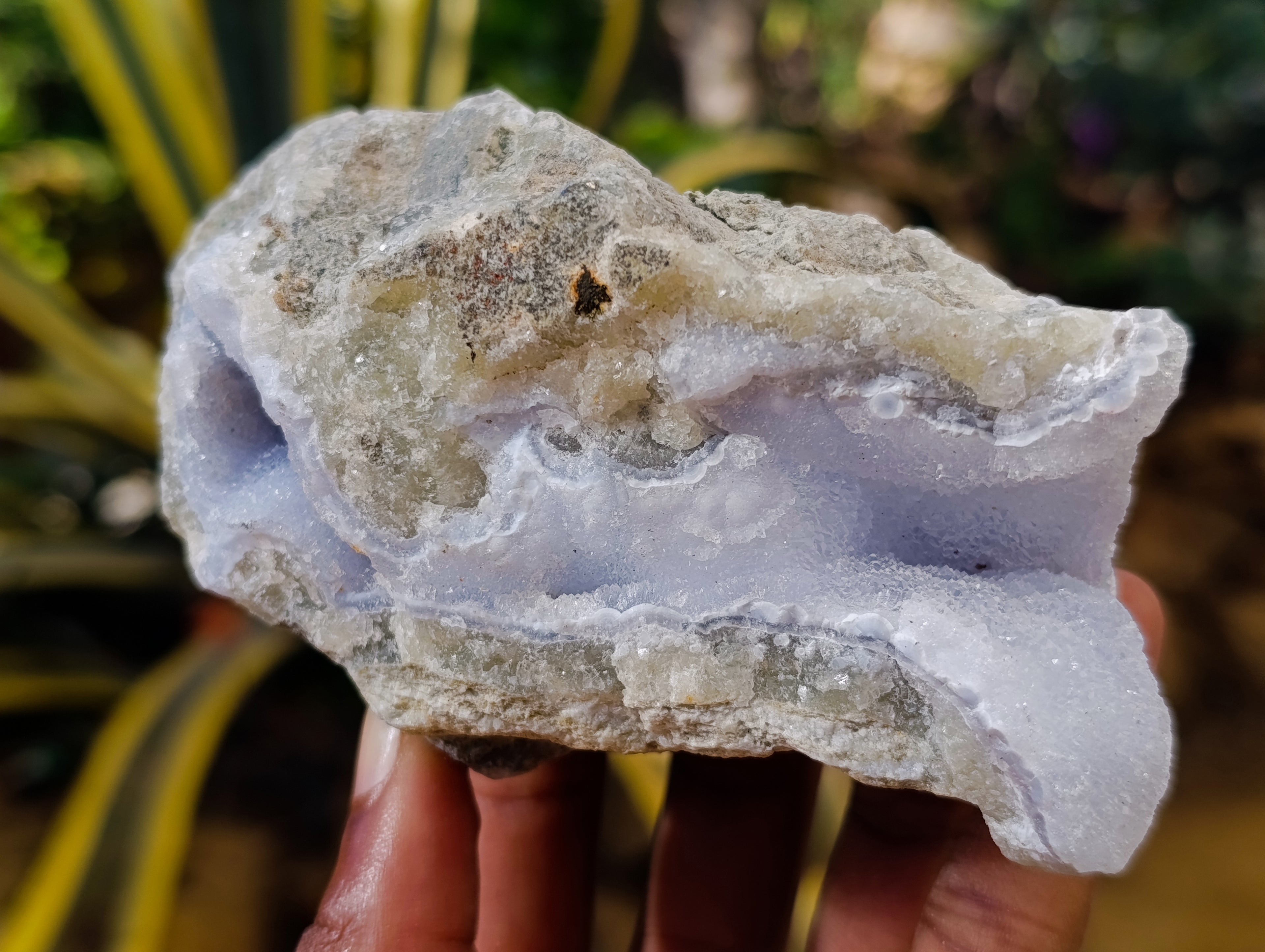 Natural Blue Lace Agate Geodes x 5 From Nsanje, Malawi - Toprock Gemstones and Minerals 