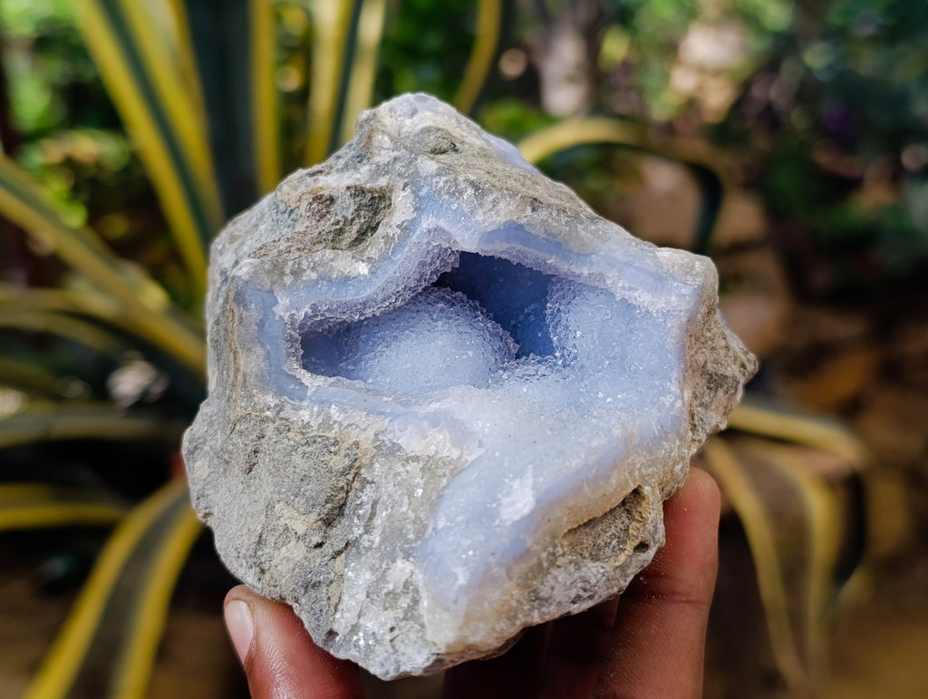Natural Blue Lace Agate Geodes x 5 From Nsanje, Malawi - Toprock Gemstones and Minerals 