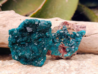 Natural Dioptase On Dolomite Specimens x 6 From Likasi, Congo