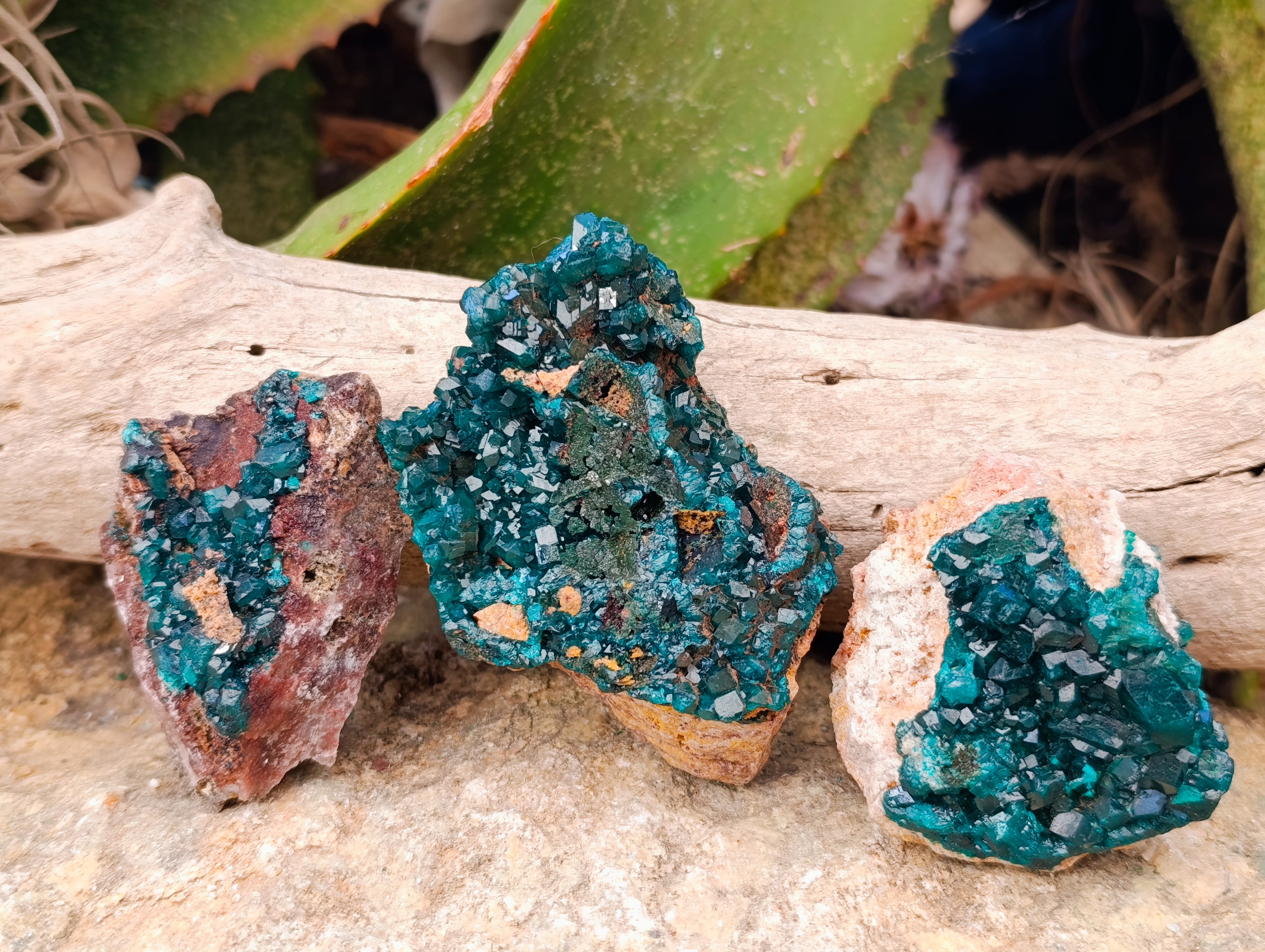 Natural Dioptase On Dolomite Specimens x 6 From Likasi, Congo - Toprock Gemstones and Minerals 