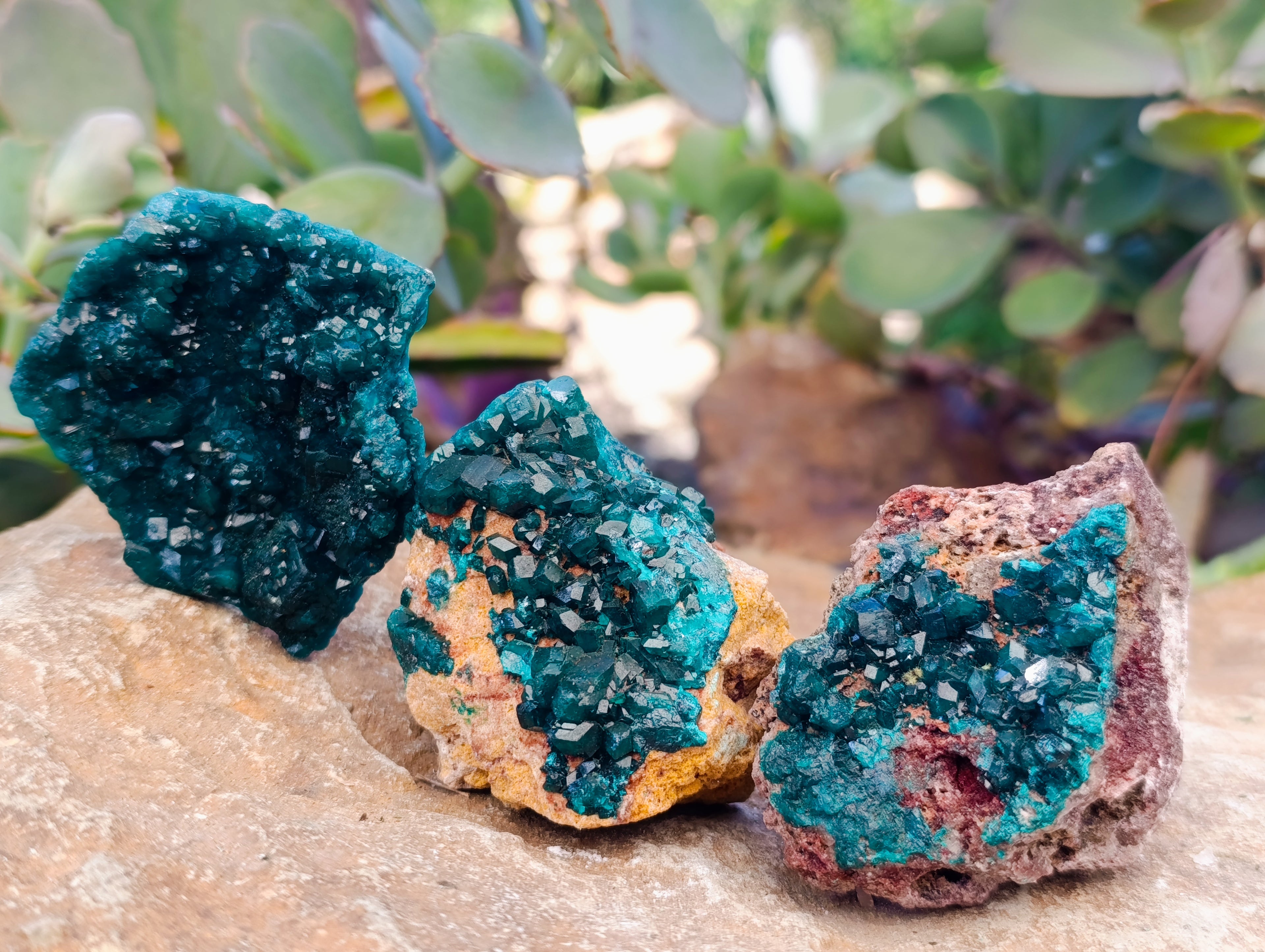 Natural Dioptase On Dolomite Specimens x 6 From Likasi, Congo - Toprock Gemstones and Minerals 