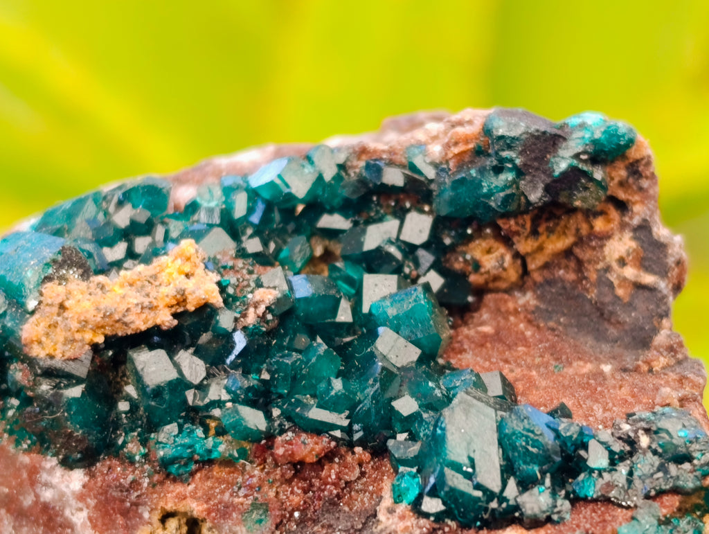 Natural Dioptase On Dolomite Specimens x 6 From Likasi, Congo - Toprock Gemstones and Minerals 