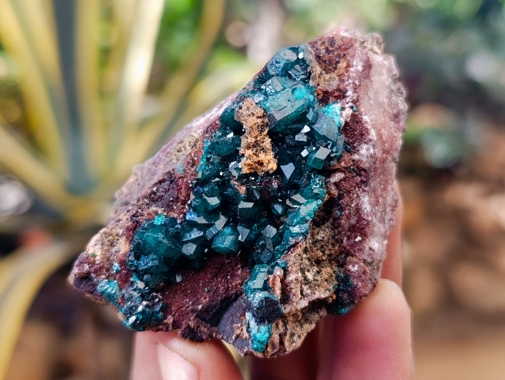 Natural Dioptase On Dolomite Specimens x 6 From Likasi, Congo - Toprock Gemstones and Minerals 