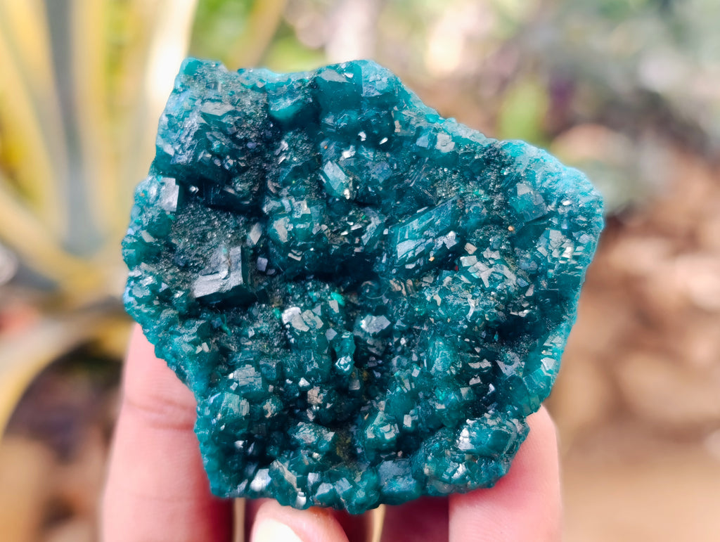 Natural Dioptase On Dolomite Specimens x 6 From Likasi, Congo - Toprock Gemstones and Minerals 