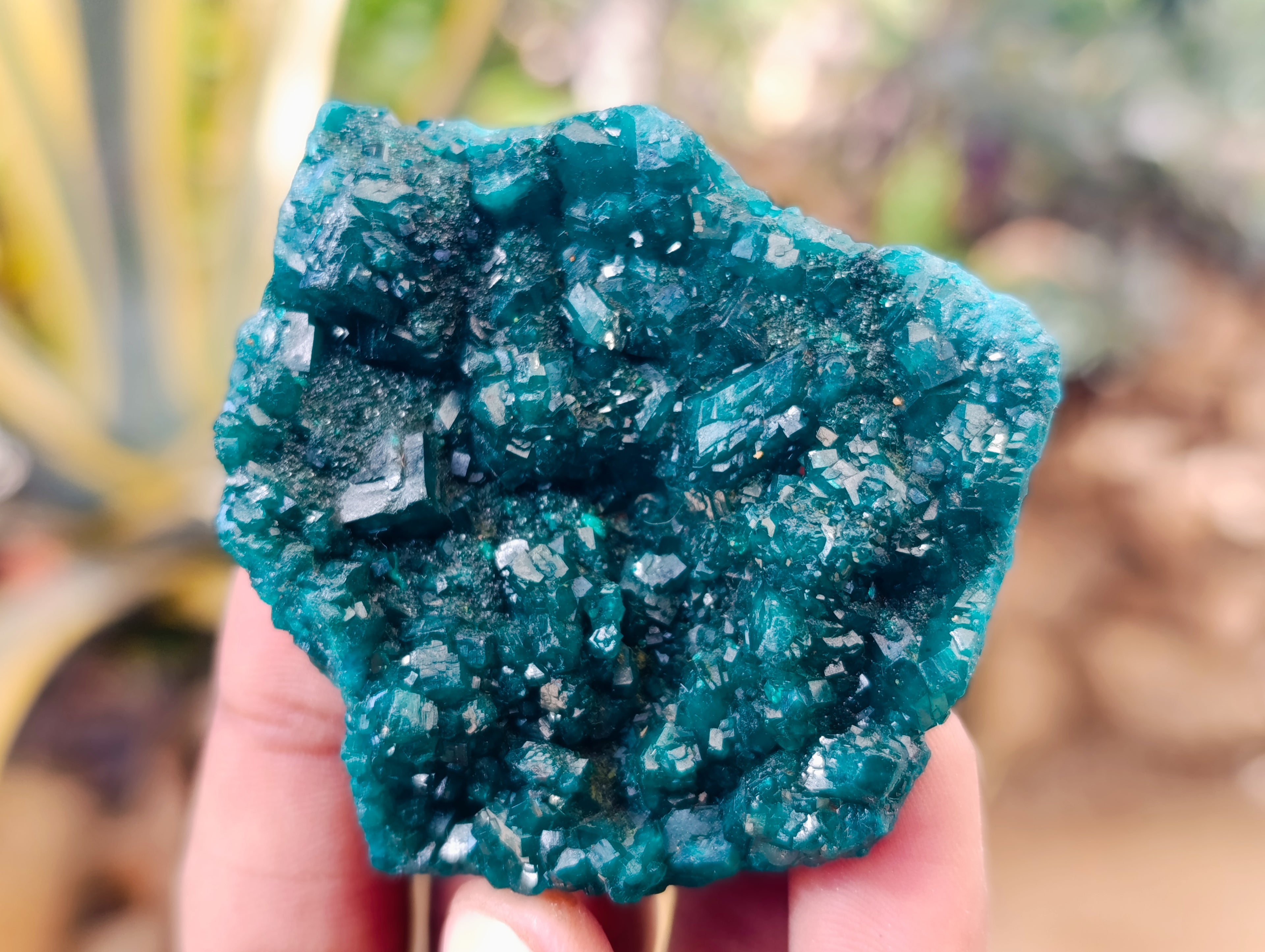 Natural Dioptase On Dolomite Specimens x 6 From Likasi, Congo - Toprock Gemstones and Minerals 