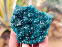 Natural Dioptase On Dolomite Specimens x 6 From Likasi, Congo
