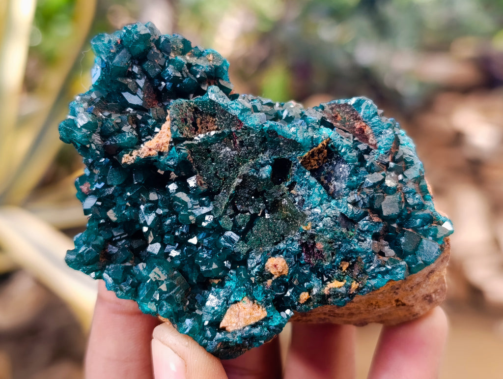 Natural Dioptase On Dolomite Specimens x 6 From Likasi, Congo - Toprock Gemstones and Minerals 