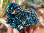 Natural Dioptase On Dolomite Specimens x 6 From Likasi, Congo - Toprock Gemstones and Minerals 