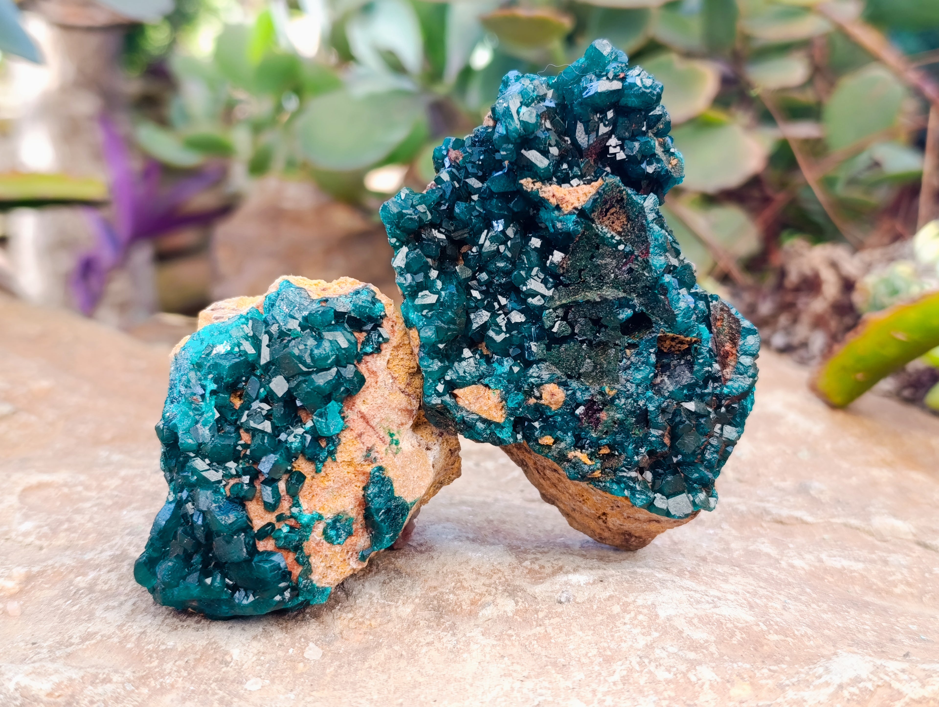 Natural Dioptase On Dolomite Specimens x 6 From Likasi, Congo - Toprock Gemstones and Minerals 
