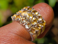 Polished Selection of 9 Carat Gold Plated Faceted Rings x 12 From Southern Africa
