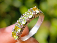 Polished Selection of 9 Carat Gold Plated Faceted Rings x 12 From Southern Africa