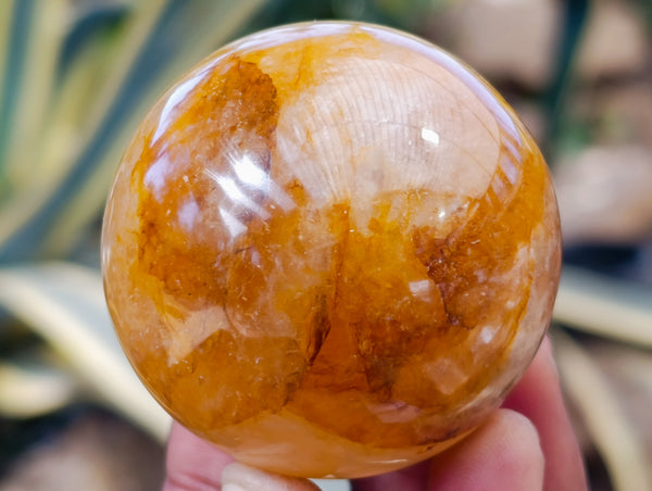 Polished Golden Healer Quartz Spheres x 6 From Madagascar