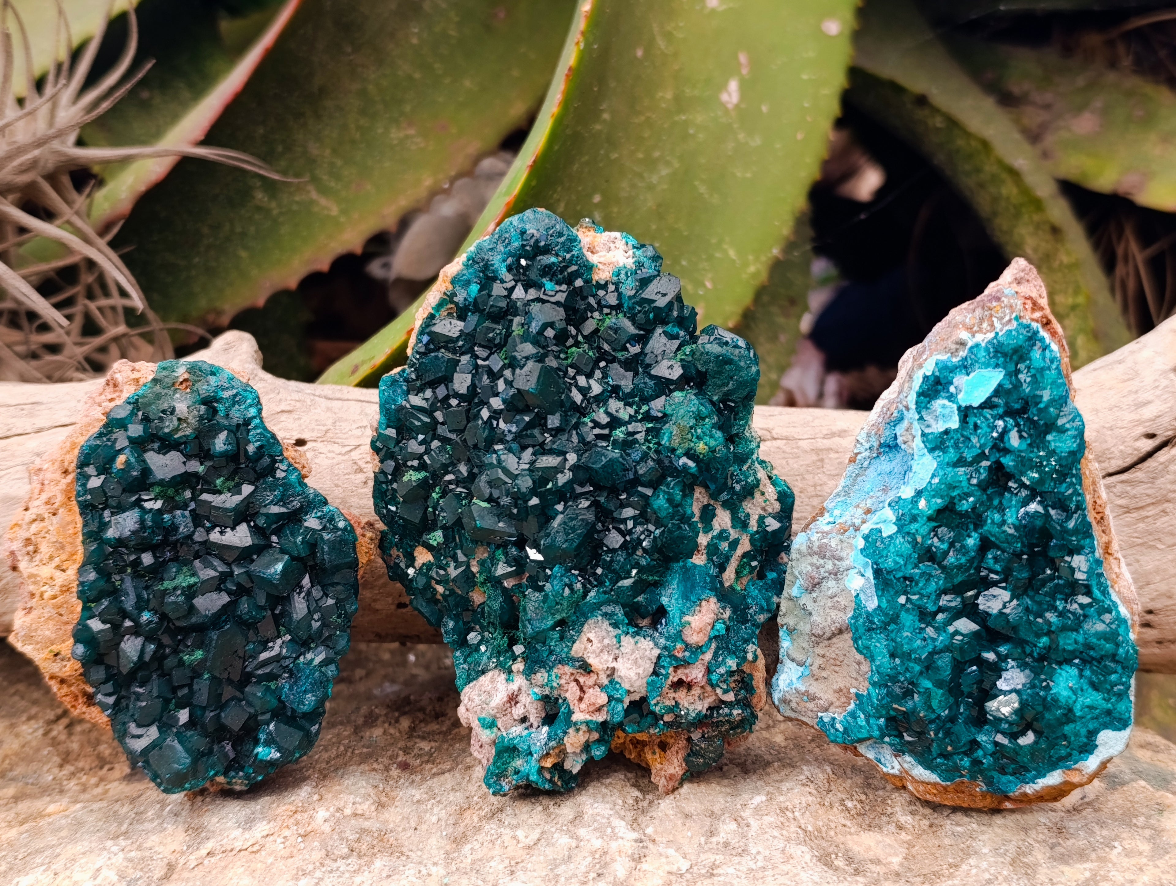 Natural Dioptase On Dolomite Specimens x 3 From Likasi, Congo - Toprock Gemstones and Minerals 