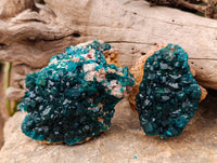 Natural Dioptase On Dolomite Specimens x 3 From Likasi, Congo