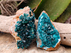 Natural Dioptase On Dolomite Specimens x 3 From Likasi, Congo - Toprock Gemstones and Minerals 
