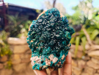 Natural Dioptase On Dolomite Specimens x 3 From Likasi, Congo
