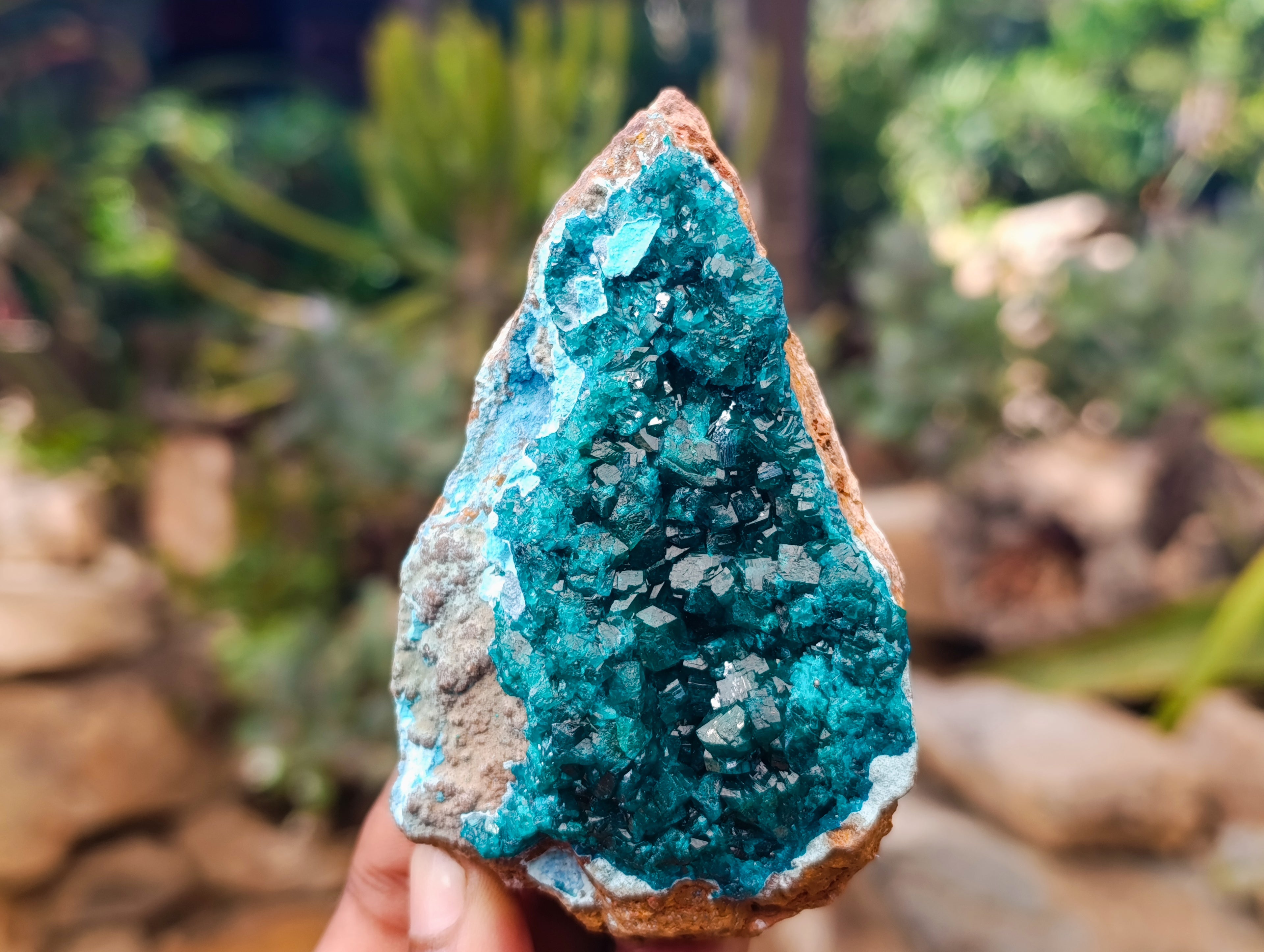 Natural Dioptase On Dolomite Specimens x 3 From Likasi, Congo - Toprock Gemstones and Minerals 