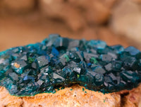 Natural Dioptase On Dolomite Specimens x 3 From Likasi, Congo