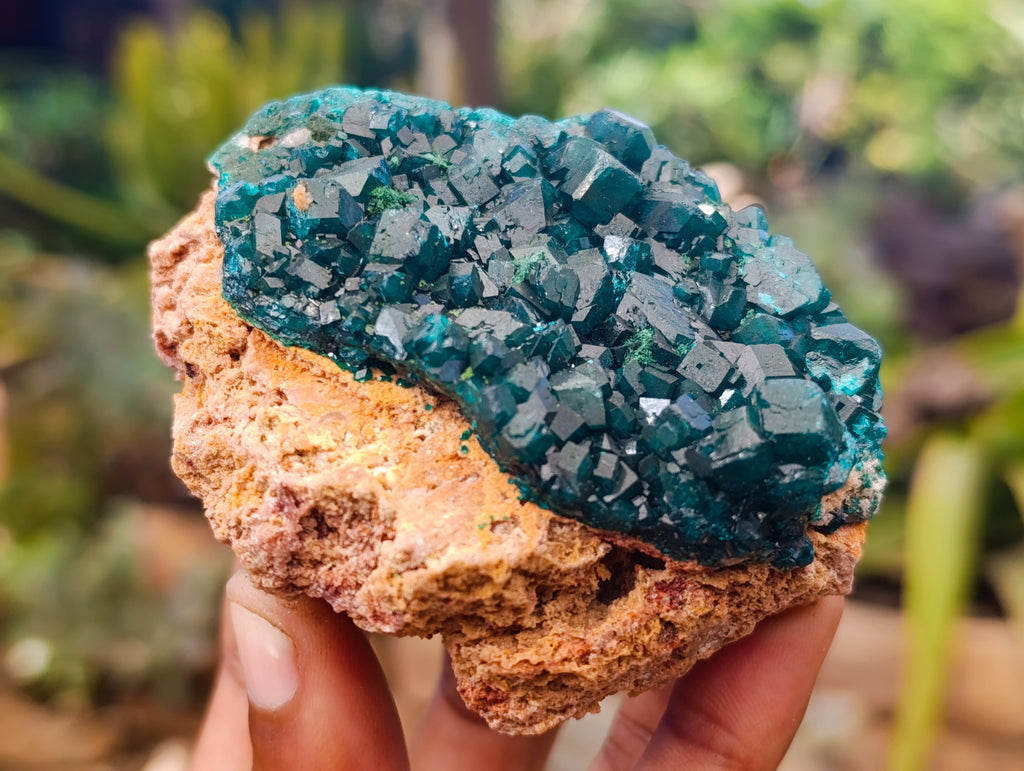Natural Dioptase On Dolomite Specimens x 3 From Likasi, Congo - Toprock Gemstones and Minerals 