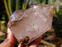Polished Smokey Window Amethyst Twin and Scepter Quartz Crystals x 2 From Akansobe, Madagascar