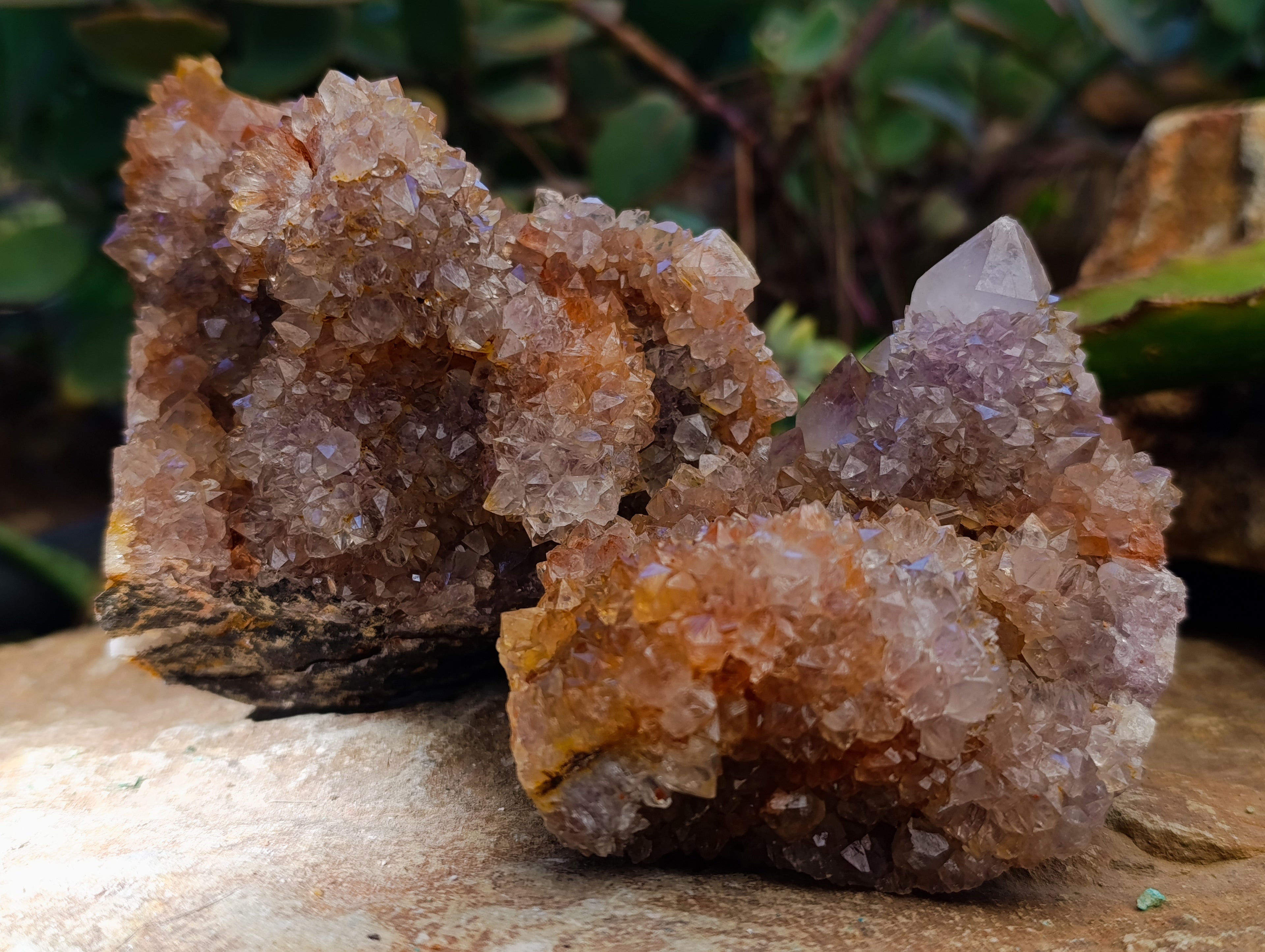 Natural Ametrine and Amethyst Spirit Quartz Clusters x 6 From South Africa - Toprock Gemstones and Minerals 
