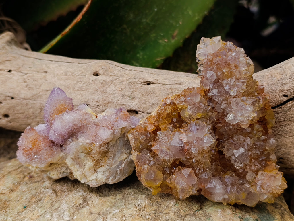 Natural Ametrine and Amethyst Spirit Quartz Clusters x 6 From South Africa - Toprock Gemstones and Minerals 