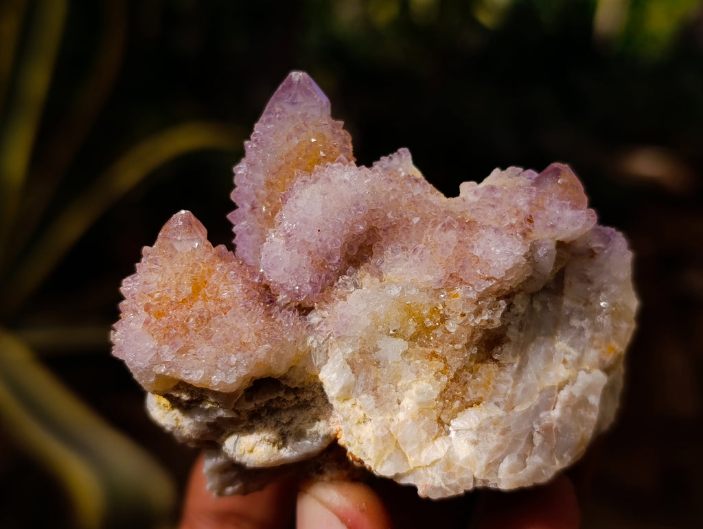 Natural Ametrine and Amethyst Spirit Quartz Clusters x 6 From South Africa - Toprock Gemstones and Minerals 
