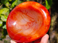 Polished Carnelian Agate Bowls x 3 From Madagascar