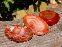 Polished Carnelian Agate Bowls x 3 From Madagascar