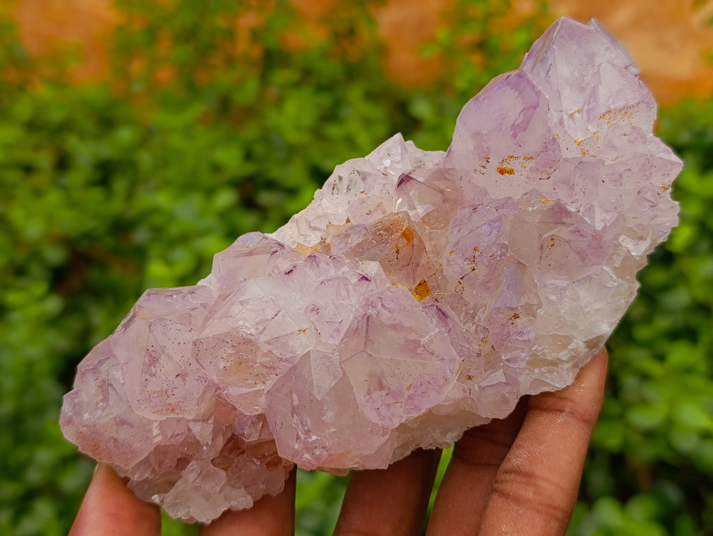 Natural Sunburst Amethyst and Cactus Spirit Quartz Clusters x 2 From South Africa - Toprock Gemstones and Minerals 