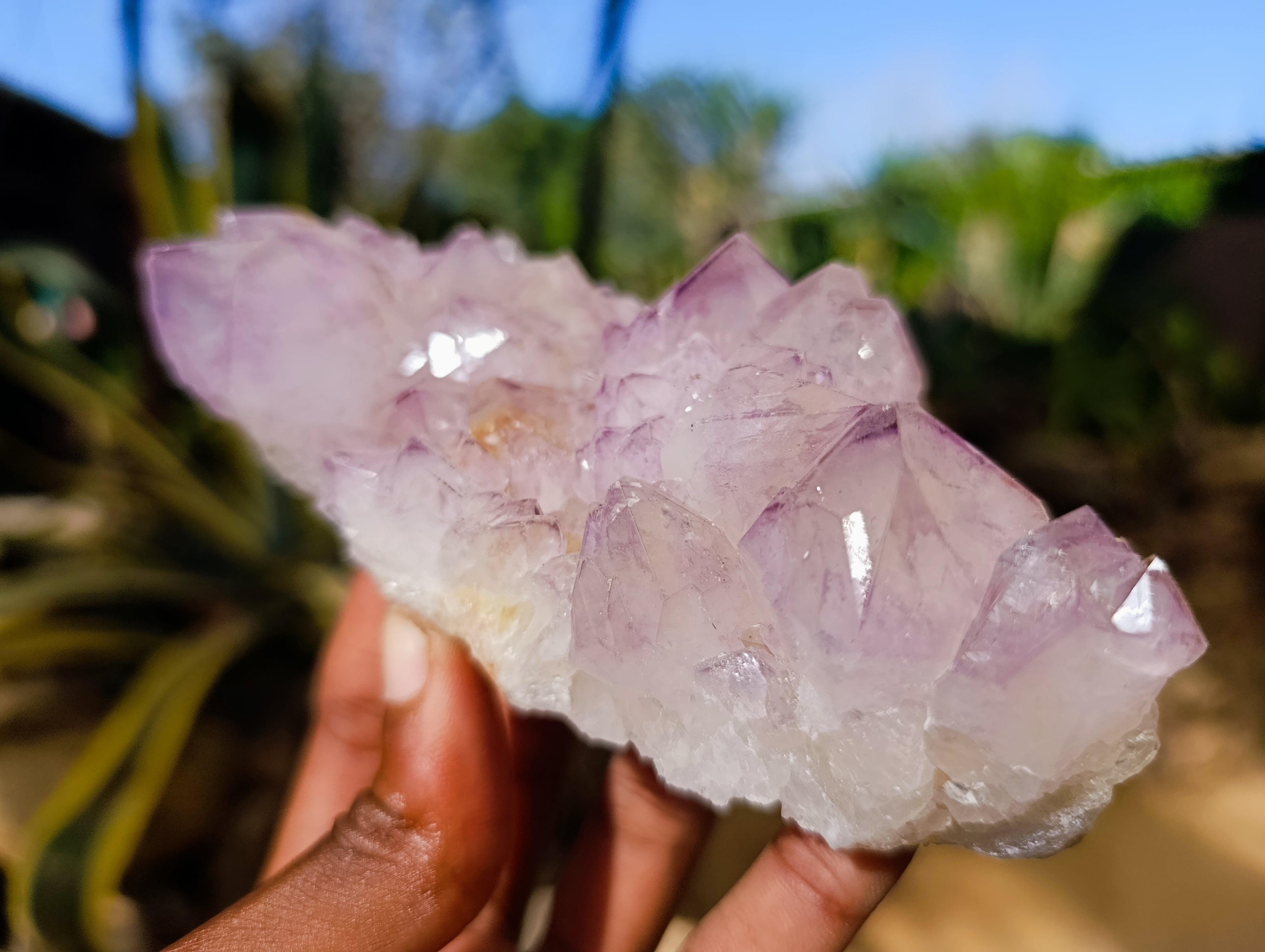 Natural Sunburst Amethyst and Cactus Spirit Quartz Clusters x 2 From South Africa - Toprock Gemstones and Minerals 