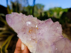 Natural Sunburst Amethyst and Cactus Spirit Quartz Clusters x 2 From South Africa - Toprock Gemstones and Minerals 