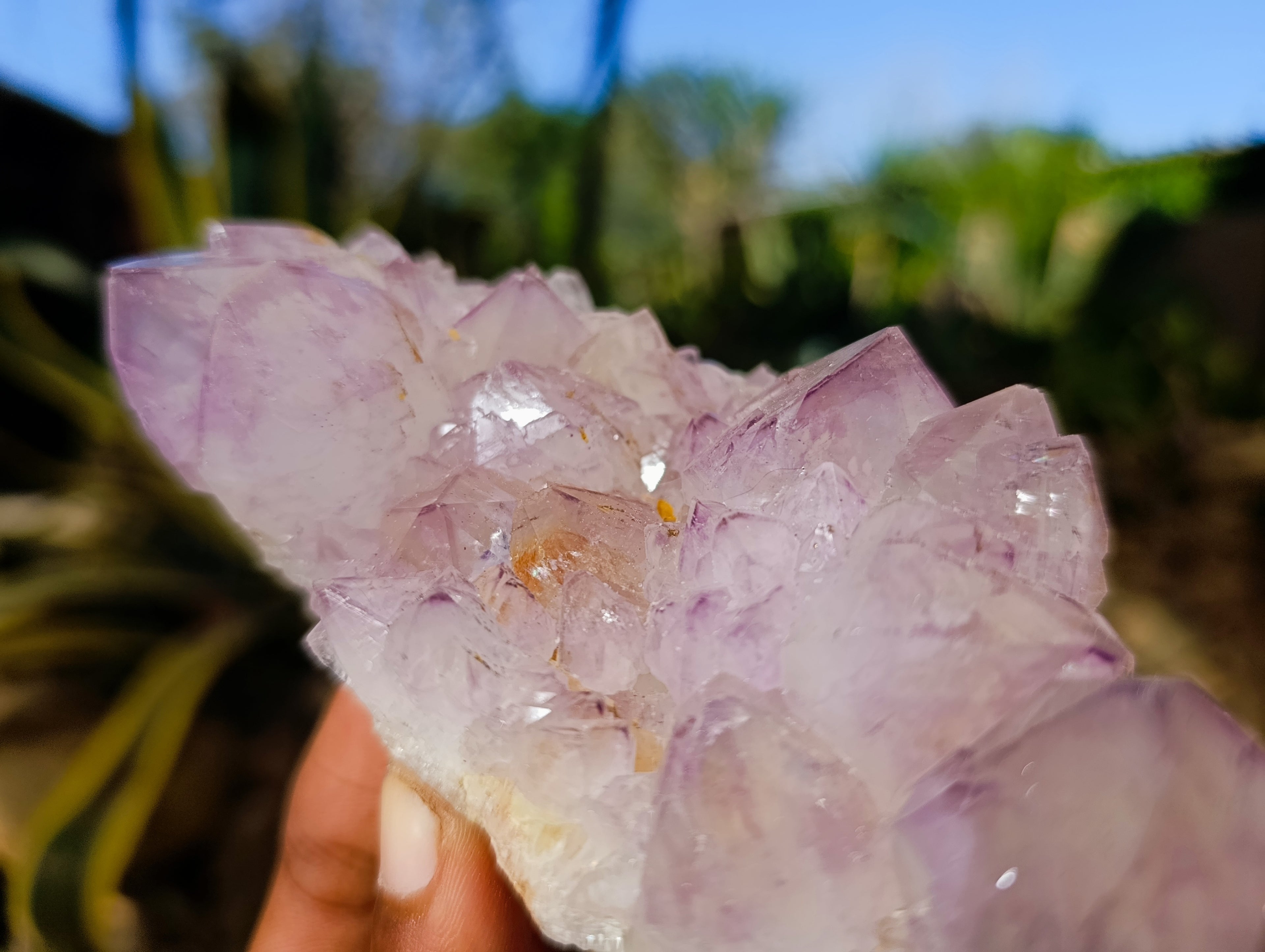Natural Sunburst Amethyst and Cactus Spirit Quartz Clusters x 2 From South Africa - Toprock Gemstones and Minerals 