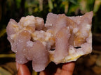 Natural Sunburst Amethyst and Cactus Spirit Quartz Clusters x 2 From South Africa - Toprock Gemstones and Minerals 